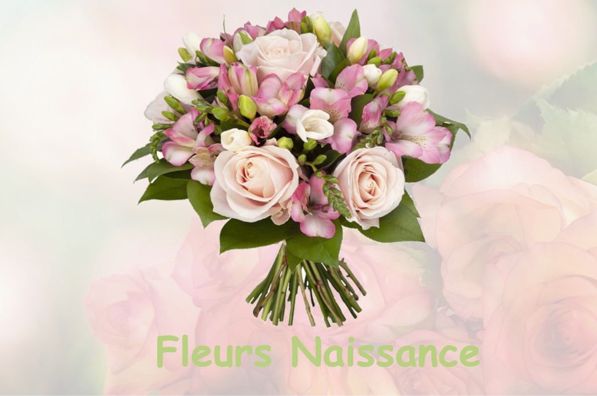 fleurs naissance POUYDESSEAUX